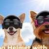 Two dogs wearing black and pink pet safety helmets with goggles against a bright blue sky