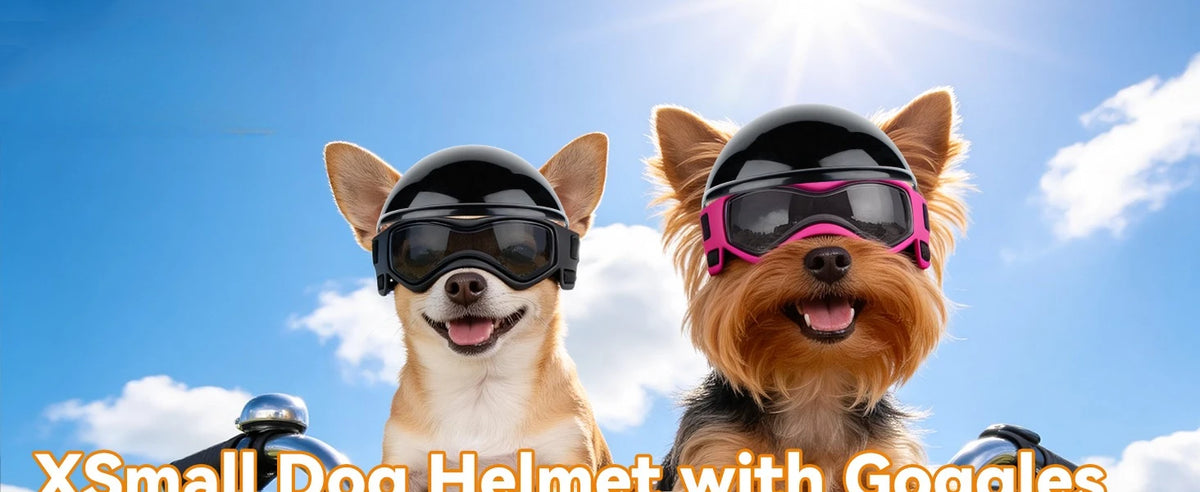 Two dogs wearing black and pink pet safety helmets with goggles against a bright blue sky