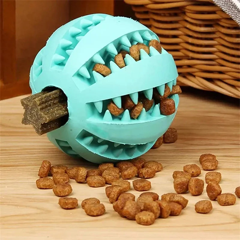 A light blue rubber ball with teeth is shown next to scattered brown dog treats.