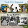Image showing various dog training commands like Run, Sit, Follow, Biting, Chasing, and Cause trouble.