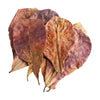 Dried, reddish-brown natural fish cleaning leaves for aquarium tanks