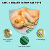 A fluffy orange cat is interacting with a green catnip toy featuring a cactus design.