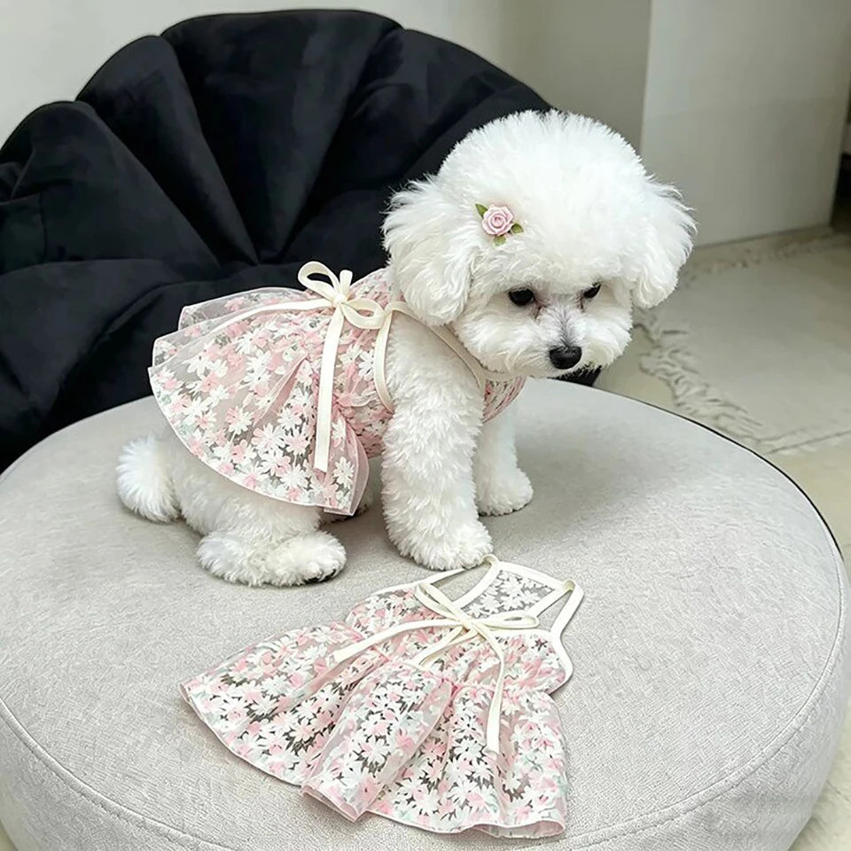 A fluffy white dog wearing a pink floral dress with a bow, sitting on a light gray surface.