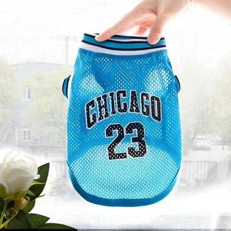 A bright blue dog sports jersey with the word CHICAGO and the number 23 printed in black text