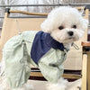 Un chien blanc portant une combinaison imperméable vert clair assis sur une chaise en bois.
