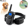 A black rechargeable dog training collar with a remote control is shown next to a golden retriever.