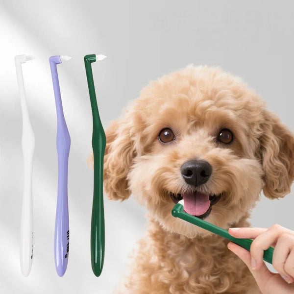 A golden retriever puppy is being groomed with a green soft bristle pet toothbrush.
