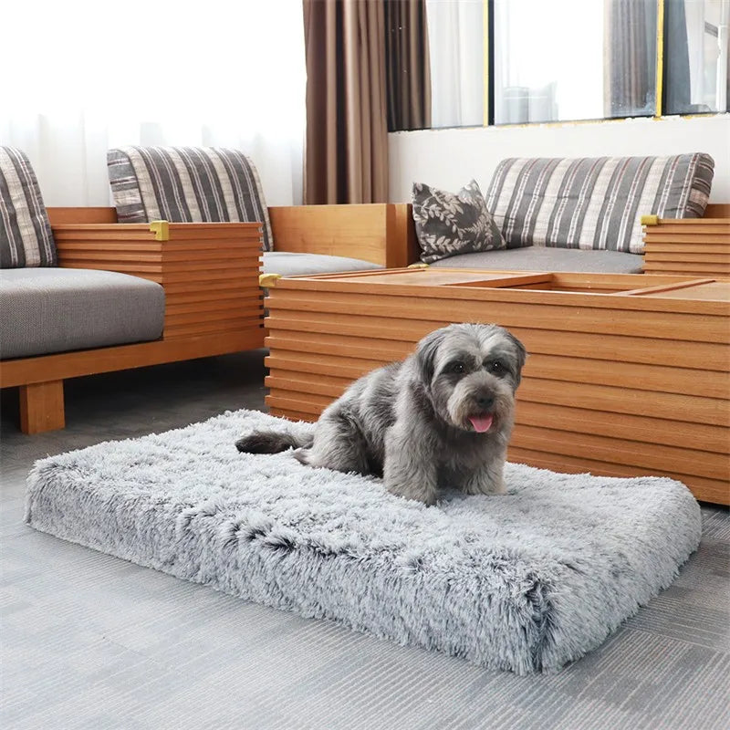 A gray fluffy orthopedic dog bed is shown indoors with wooden furniture and striped cushions.