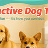 A golden retriever and a small dog looking at interactive dog toys with working modes and rechargeable features.