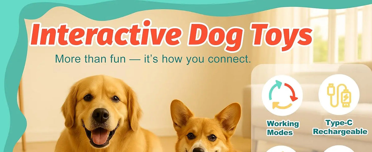 A golden retriever and a small dog looking at interactive dog toys with working modes and rechargeable features.