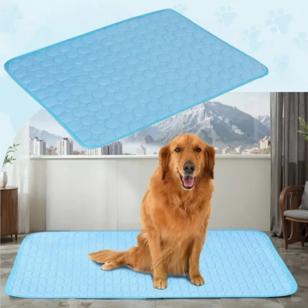 A golden retriever dog lying on a blue cooling pet mat with a larger blue mat visible above it.