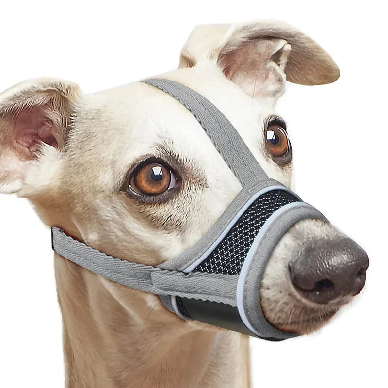 A light-colored dog wearing a gray adjustable reflective soft muzzle covering its nose and mouth.