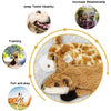 A set of five crinkle squeaky dog toys for stimulation, including a plush toy and a dog toy.