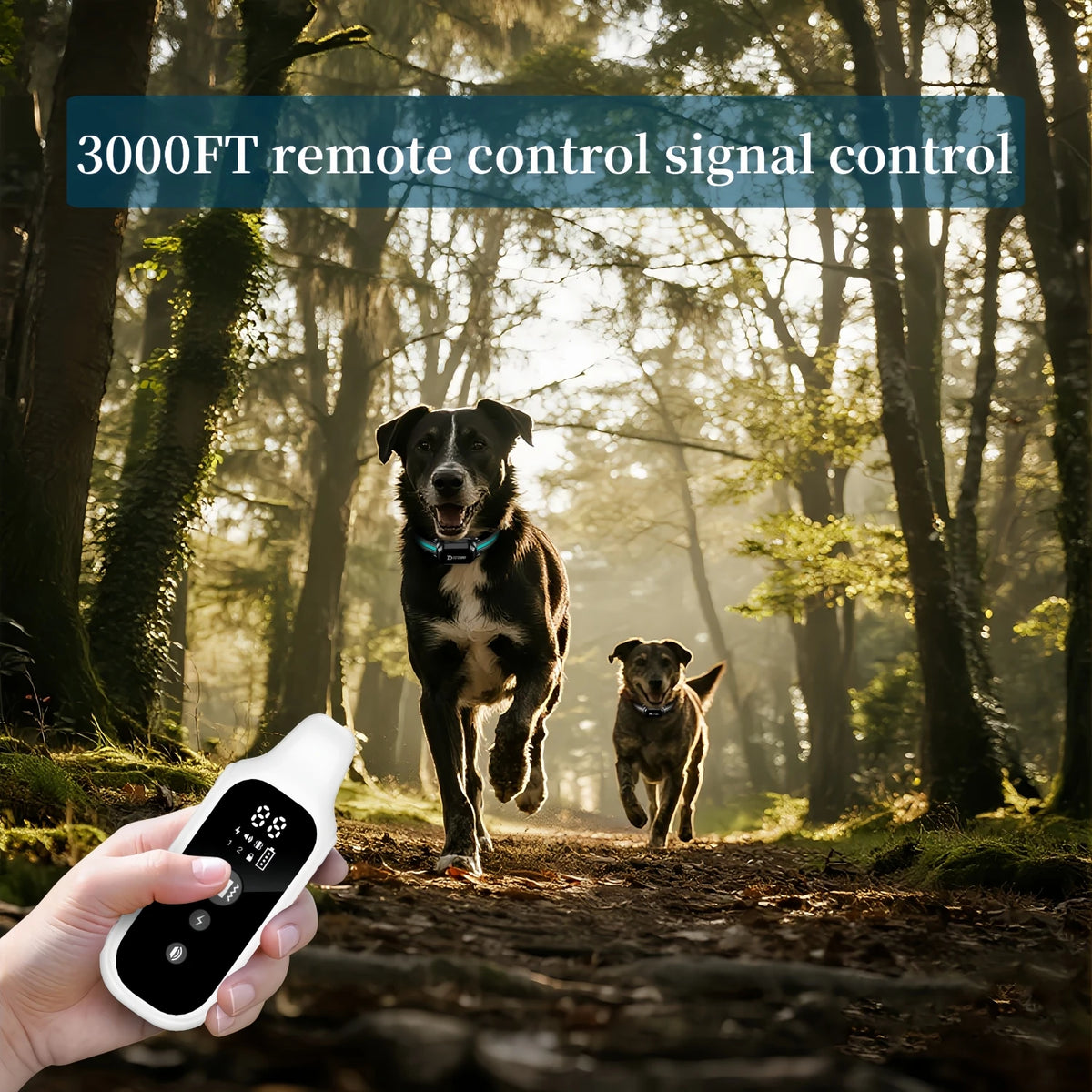 A hand holds a remote control device used for 3000FT remote control signal control in a wooded outdoor setting with dogs.