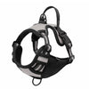 A black and gray padded dog traction chest harness for training or control.
