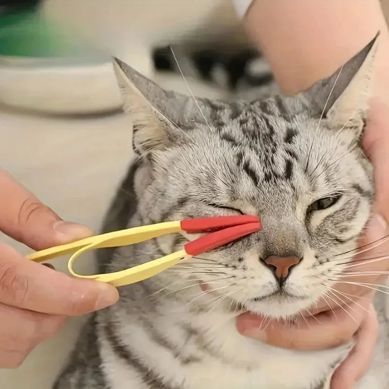 A cat is being held by a person and has a pair of red and yellow comb placed near its face.