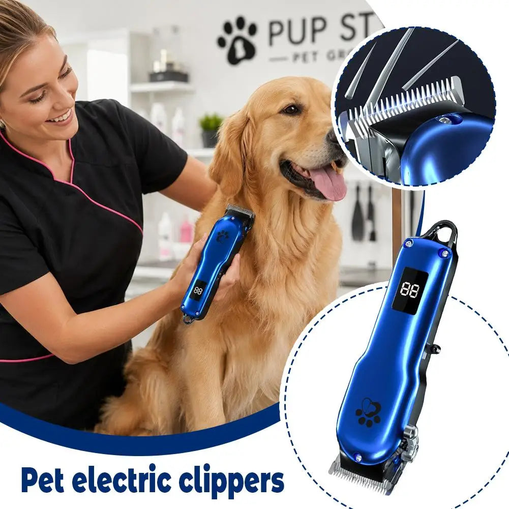 Une femme utilise une tondeuse électrique bleue sur un golden retriever.