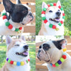 A collage of dogs wearing colorful rainbow flower pet collars and bow ties.
