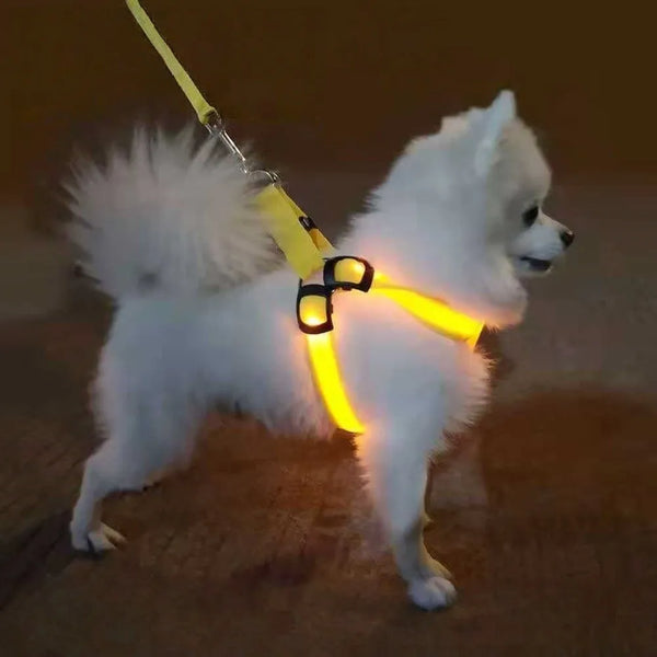 Un perro blanco vistiendo un arnés LED amarillo en un suelo de madera.