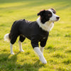 A black and white dog wearing a black cozy pajama with a high collar standing in green grass.