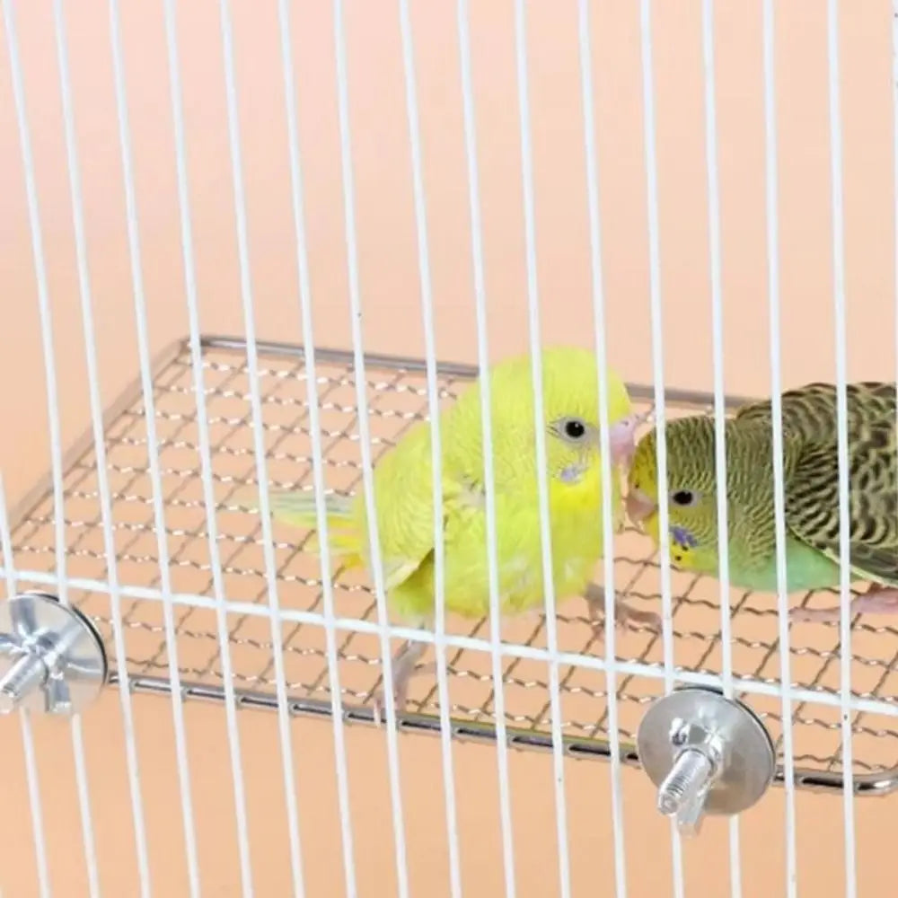 Two small yellow and green birds are perched on a stainless steel wire mesh bird perch platform.