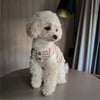 A fluffy white dog wearing a knitted striped vest sitting on a table.