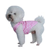 A fluffy white dog wearing a pink heart-patterned vest.
