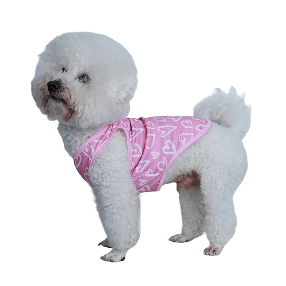 A fluffy white dog wearing a pink heart-patterned vest.
