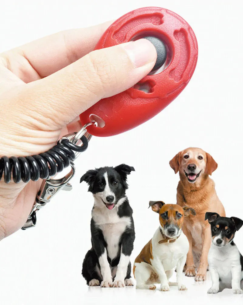 Eine Hand hält einen roten, verstellbaren Hundetrainer-Klicker, während mehrere Hunde in die Kamera schauen.