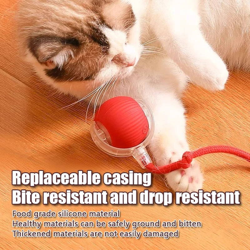 Eine Katze interagiert mit einem roten Silikon-Rollspielzeug, das gegen Zerdrücken und Herunterfallen resistent ist.