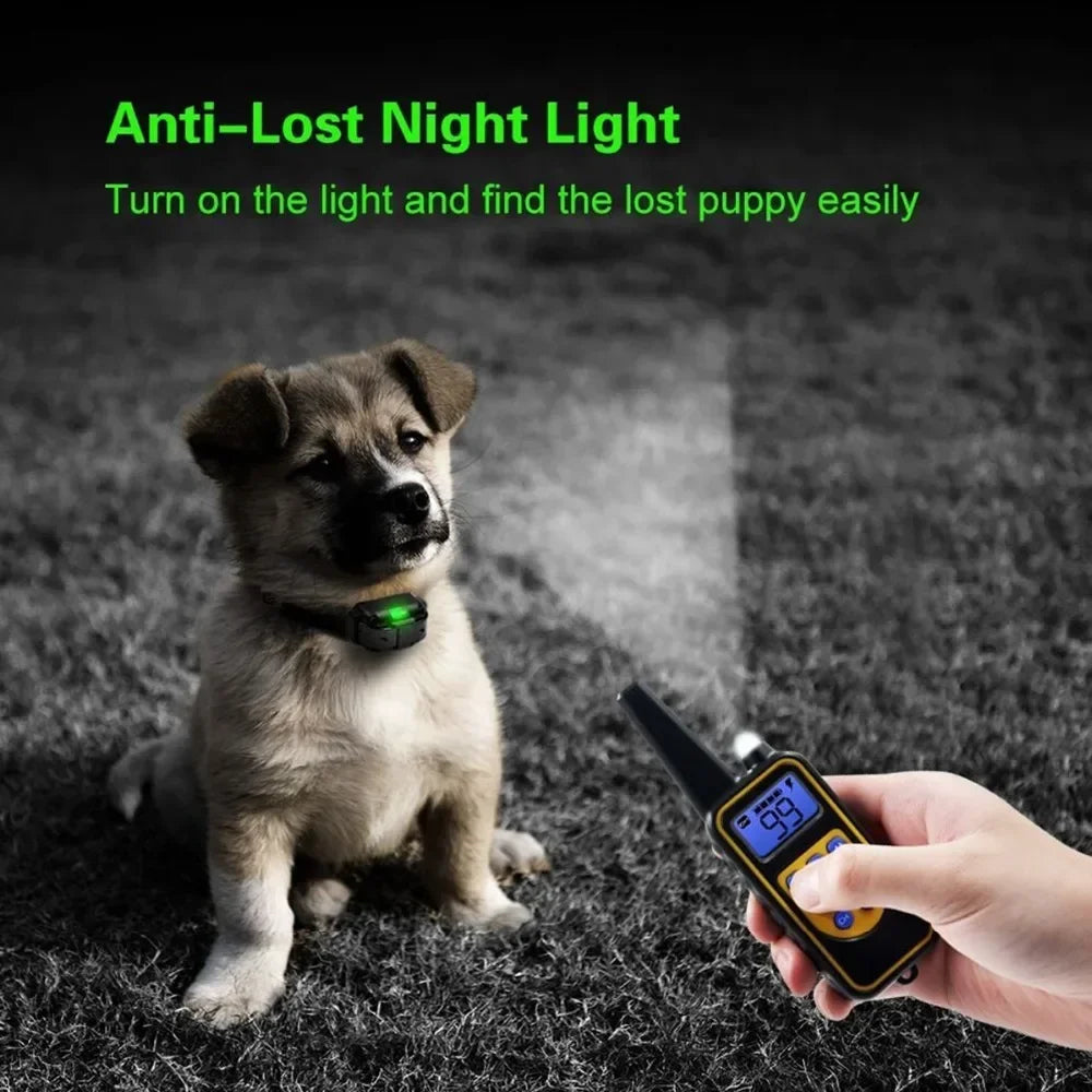 A dog is sitting on grass while a hand holds an anti-lost night light collar with an LCD display.