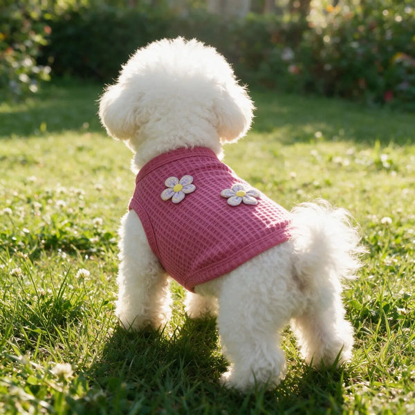 A fluffy white dog wearing a pink floral embroidered vest sitting in green grass.
