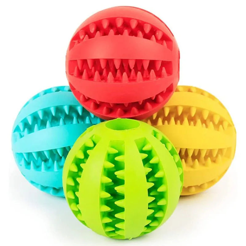 A collection of five brightly colored, spiky rubber balls for dogs in red, blue, green, and yellow.