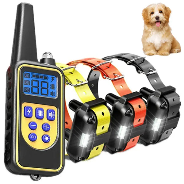 A black remote dog training collar with a yellow display and buttons, next to a golden-colored dog.