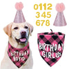 Un golden retriever portant un collier rose en peluche et un bandana à carreaux noirs avec des empreintes de pattes.