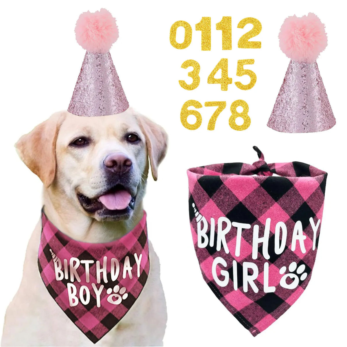 Un golden retriever portant un collier rose en peluche et un bandana à carreaux noirs avec des empreintes de pattes.
