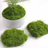 A white pot filled with bright green preserved moss, alongside a loose clump of the same moss.