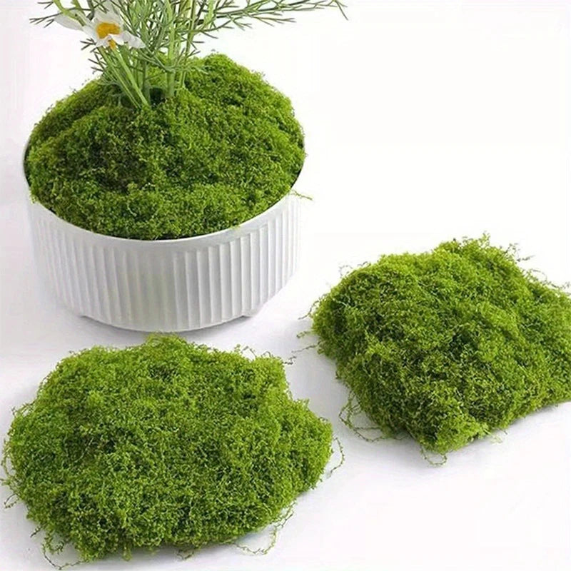 A white pot filled with bright green preserved moss, alongside a loose clump of the same moss.