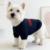 A white dog wearing a navy blue hoodie with red lettering, standing on a white surface.