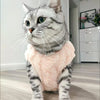 A fluffy gray tabby cat wearing a pink fleece pullover sweatshirt.