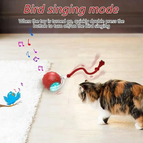 Gestreiftes Katzenfell interagiert mit einem Spielzeug, das Vogelgesang erzeugt, auf einer weißen Fläche.
