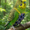 A bright yellow and green parrot perched on a wooden branch.