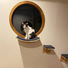 A white and black cat is visible inside a round wooden window-like feature mounted on a wall.