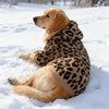 A golden retriever wearing a leopard print fleece hoodie lies in the snow.