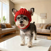 A small dog wearing a red knit beanie hat sitting on a white table.