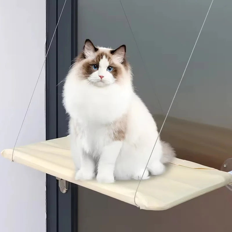A fluffy blue and white cat is sitting on a beige hanging hammock window perch.
