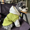Ein kleiner Hund mit einem hellgrünen Kapuzenpullover und weißem Rand sitzt in einem dunkelfarbigen Transportbehälter.