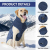 A golden retriever wearing a navy blue cold-proof fabric dog coat in an outdoor snowy landscape.