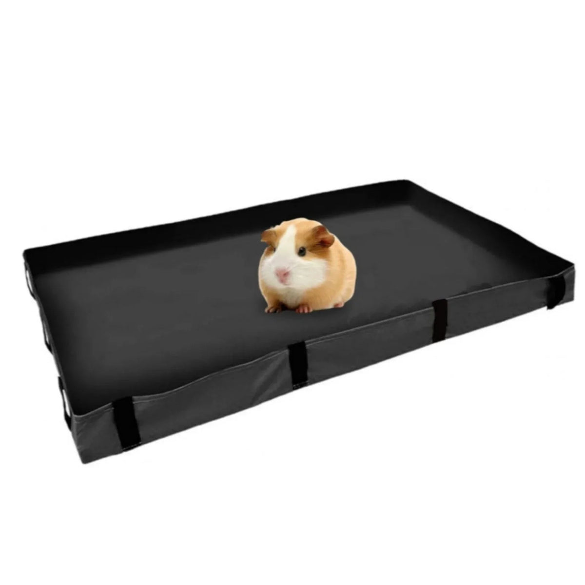 A black PVC cage liner with a small guinea pig resting on it.