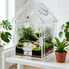 A clear plastic terrarium housing a miniature landscape of plants and moss for a portable jumping spider.